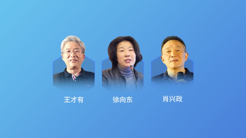 养生食疗食谱定制服务